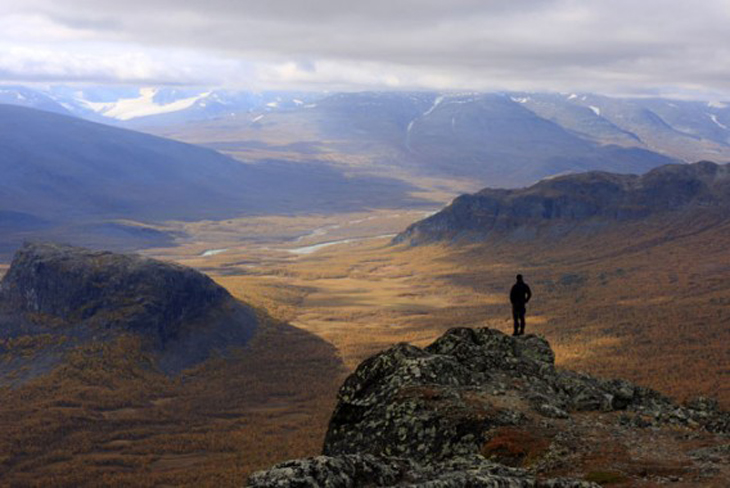 Sarek